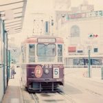 Patricia Smith的头像-小熊猫社区