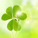 xu1987的头像-小熊猫社区