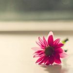 Michael Jackson的头像-小熊猫社区