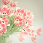 zhao675的头像-小熊猫社区